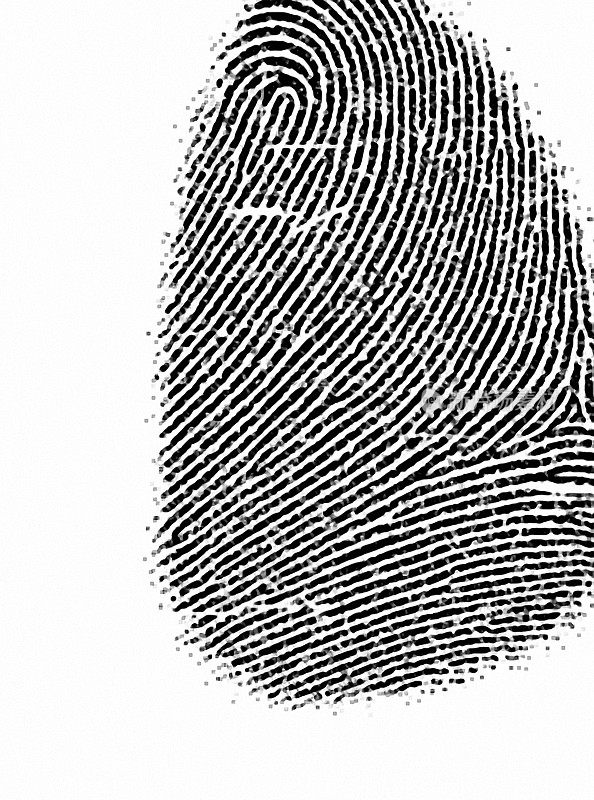 Fingerprint texture 2